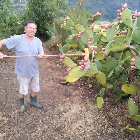 Barone Montefeo Librizzi