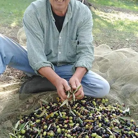 Barone Montefeo Séjour à la campagne Librizzi