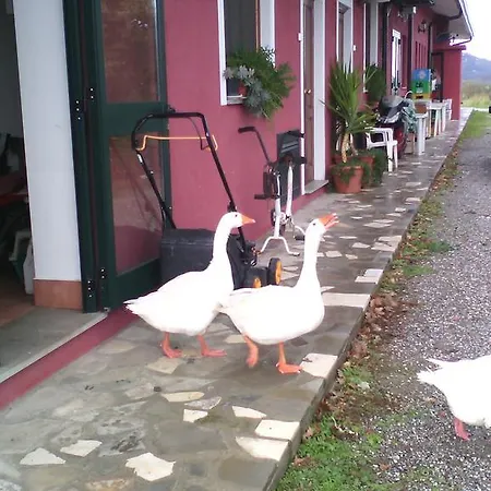 Εξοχικό σπίτι Barone Montefeo *