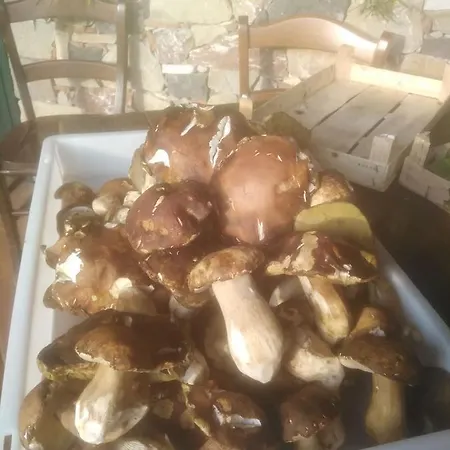 Barone Montefeo Εξοχικό σπίτι