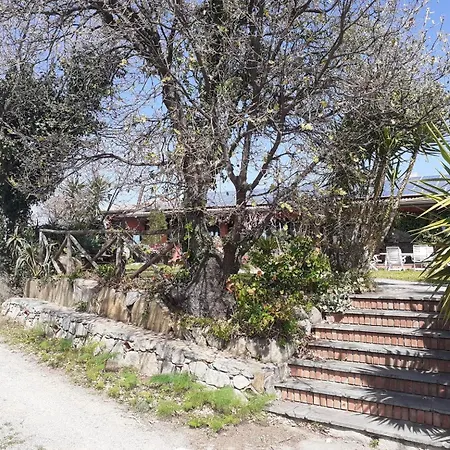 Barone Montefeo Librizzi