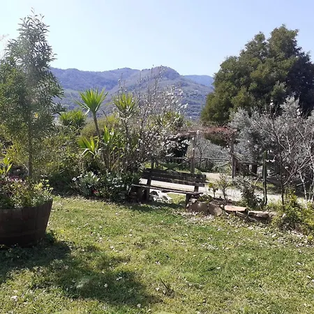 Barone Montefeo * Librizzi