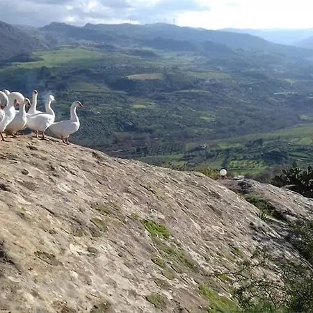 컨트리하우스 Barone Montefeo *