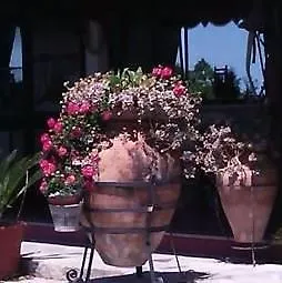 Летний дом Barone Montefeo Librizzi