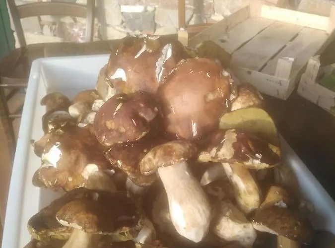 Barone Montefeo Летний дом